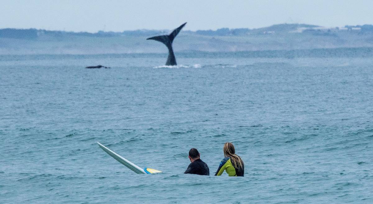 Port Fairy BOOK DIRECT AND SAVE
